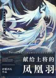献给上将的凤凰羽讲什么
