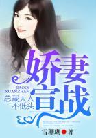 总裁大人不低头