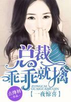 总裁乖乖就擒阅读