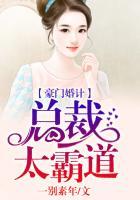 总裁豪门.婚恋爱情