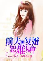 前夫复婚前妻不敢再爱心酸