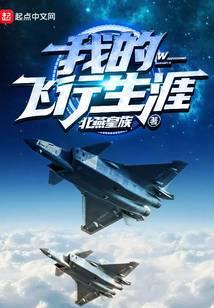 我的飞行生涯元元