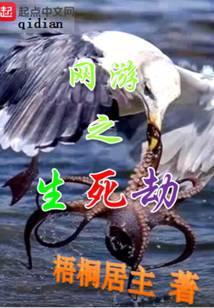 网游之生死劫sodu