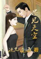 遇见天使空谷幽兰著