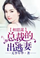 相思谋总裁的出逃妻