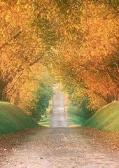 歌曲逍遥道视频