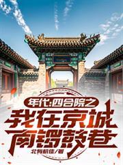 年代四合院之我在京城南锣鼓巷北有航