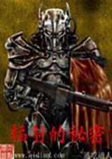 辐射的秘密加料修改版