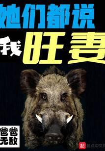 她们都说我旺妻是什么歌