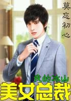 我的冰山美女总裁叶雄