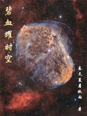 碧血长空穿越二战完整版土豆播放