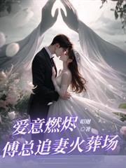 傅总追妻火葬场免费阅读林书音