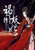 重生之祸国妖妃 落公子