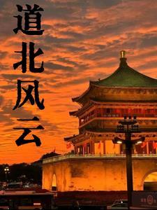 道北风云王敏结局是什么