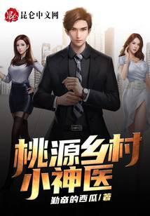 桃源乡村小神医TXT