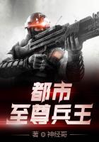 都市至尊兵王叶苍天