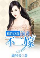 狼性总裁前妻不二嫁