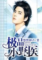 极品小野医神级土豆免费阅读
