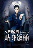 女明星的贴身狂兵