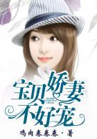 宝贝娇妻难哄