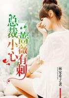 总裁的小心肝全文免费阅读