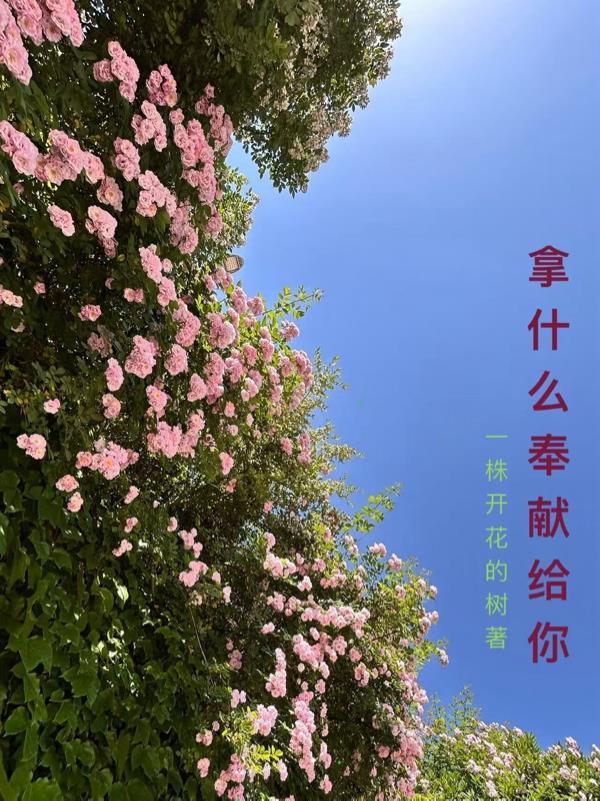 拿什么奉献给你我的爱人原唱