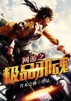 网游之极品幸运儿笔趣阁