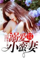 溺爱成狂冷少独占小妖精