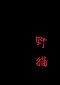 野猫(1v1 H)_最新章节_(兄弟小剧场)_飞天文学