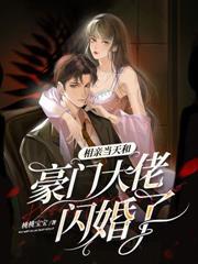 他的婚礼在放烟花免费阅读