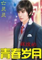 辉煌的青春岁月免费