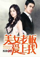 美女老板爱上我后续剧情