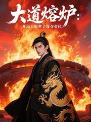 大道熔炉开局王府世子谋夺帝位免费阅读
