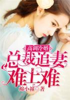 高冷总裁追妻记