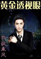 黄金透视眼 我欲乘风