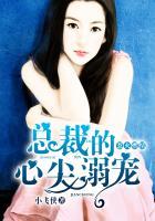 总裁的惹火小情人