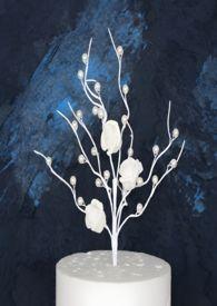 1v1)最新章节-禁果效应