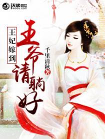 王妃嫁到王爷来接驾