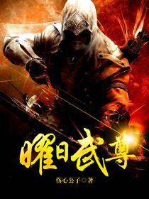 日耀武器哪个好