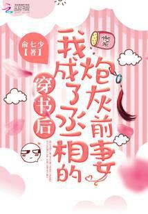 穿书后我成了丞相的炮灰前妻未删减版