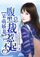 腹黑总裁惹不起 片片洋芋儿