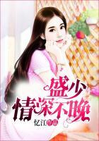 盛少情深不晚笔趣阁