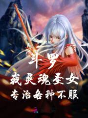 斗罗之灵魂手笔