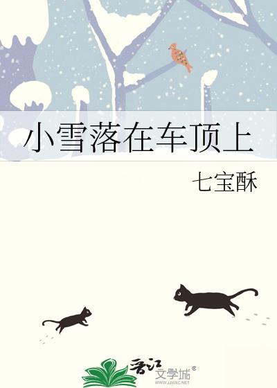 雪落到车上怎么处理