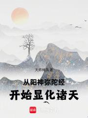 从阳神弥陀经开始显化诸天完整版免费