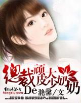 总裁的顽皮大少奶奶全文阅读