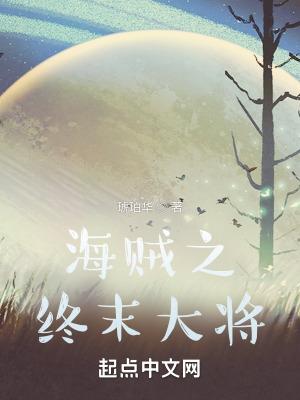 海贼之终极大玩家