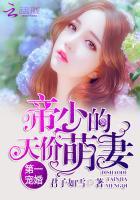 第一宠婚帝少你坏透了