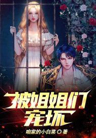 被姐姐宠的都市