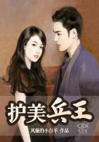 护美神兵林斌免费阅读